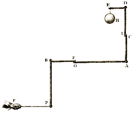 Planche I, Figure 5.