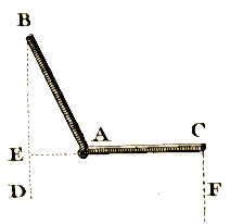 Planche I, Figure 9.
