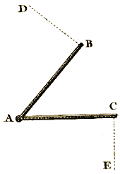 Planche I, Figure 11.