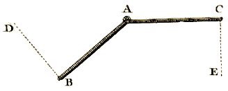 Planche I, Figure 12.