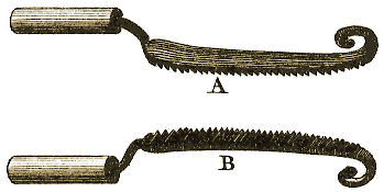 Planche III, Figure 6.