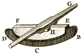 Planche III, Figure 10.