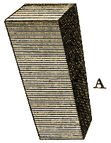 Planche III, Figure 15.