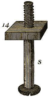Planche X, Figure 79.
