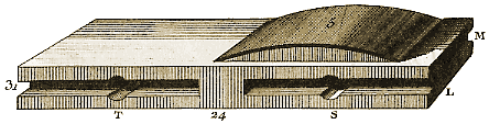 Planche XI, Figure 81.